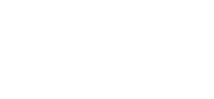 Merit Electric